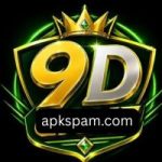 9D Game